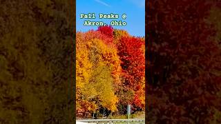 #fallcolors #fallseason #nature #ohio #travelusa #travelohio