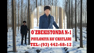 O`ZBEKISTONDA N-1 PAVLONIYA KO`CHATLARI (ANDIJON)