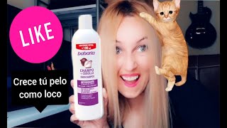 CHAMPÚ DE CEBOLLA / CRECE EL PELO COMO LOCO