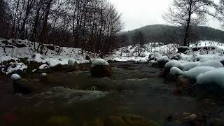 Exclusive Small Creek Water Sound In Forest : The Best Way To Concentrate And Relax