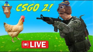 CS:GO MET KALE KIJKERS