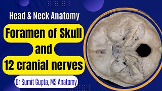 ALL CRANIAL NERVES THROUGH SKULL FORAMEN