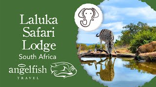 Laluka Safari Lodge | Superb Luxury Eco-Friendly Lodge