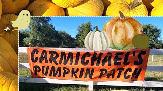 Carmichael's PUMPKIN PATCH in Bixby Oklahoma - Pumpkins, gourds, animals!