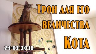 Игровой комплекс для кошки высотой более 2-х метров своими руками