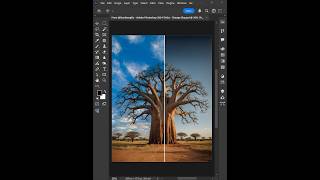 Adobe Photoshop 2025 - Tips to change the Sky with just one click #ducthangds #photoshop