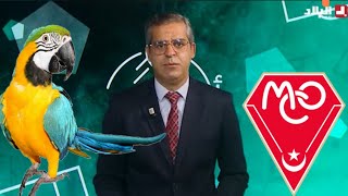 آخر إنذار لي ببغاء قناة البلاد..إترك مولودية وهران و شأنها..ما خفي أعظم