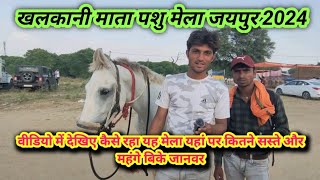 Khalkani Mata ghoda Mela | Khalkani mata mela | Rajasthan ke pashu mele