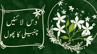 تخلیقی لکھائی چنبیلی کا پھول| 10 Lines On Jasmine @educationforeveryone668\Flower