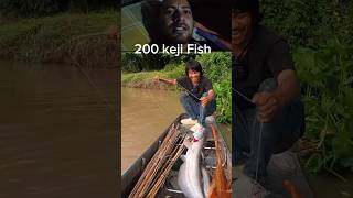 Automatic hook fishing.How exiting it is.Watch till the end.#fishing #riverfishing #autofishing