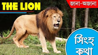 THE LION । পশুরাজ সিংহ