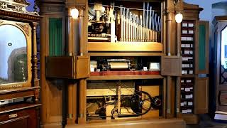 [2024] Orgue Weber Maesto @ Siegfrieds Mechanisches Musikkabinett