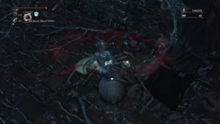 Bloodborne™ - Beware of Insect