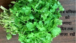 धनिया को 8 से 10 दिन तक बिल्कुल ताजा रखें। how to keep  coriander  leaves fresh for 8 -10 days .