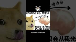 【搞笑配音】来吧！肆意的揉捻我吧！