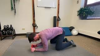 Serratus Prayers for Scapular Stability - DNS Quadruped Position