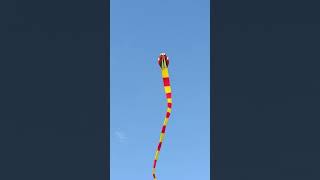 55 Meter snake kite, first flight.