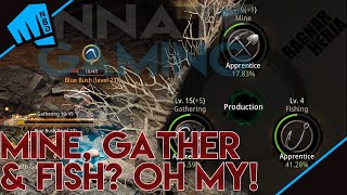 How to Gather, Mine, Fish in MirM Properly. ( English ) Noob Guide