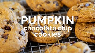 Pumpkin Chocolate Chip Cookies