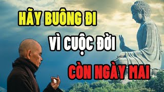 Mỗi Đêm Khó Ngủ Nghe Lời Phật Dạy "Hãy Buông Đi Vì Cuộc Đời Còn Ngày Mai" Ai Cũng Nên Nghe Một Lần