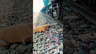 # so sad 😭 train accident