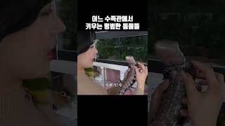 어느 수족관 사장님이 키우는 흔한 동물 모음.zip