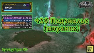 +20 Подгнилье Тираник. WoW Dragonflight season 2 #wow #dragonflight #вов #protpaladin