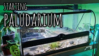 Starting A Paludarium Tank (tank with water)