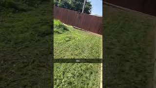 #lawncare