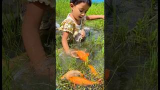 Cute baby Jhim catching Fish #jhim #jhimbd #cute #cutebaby #baby #cutebabygirl #fish #fishing