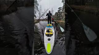 Серебряный бор на SUP в ноябре | insta360 #sup #insta360x3 #сапборд