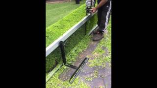 How to cut hedges