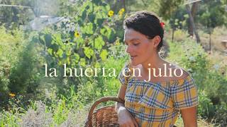 El Huerto Familiar en Julio en Pleno Rendimiento -Gran Cosecha de Cebollas Enormes y Tomates Jugosos