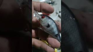 Señuelos para PESCA JP Lures #crankbait #fishingbait #fishing #bassfishing #fish #fishing#pesca