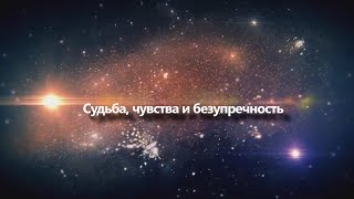 Судьба, чувства и безупречность