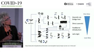 The Quest to Understand the Origins of SARS-CoV-2 | Marion Koopmans