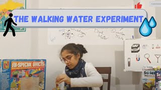 The Walking Water Experiment – Capillary Action