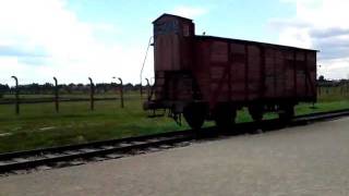 Auschwitz 2, June 2011