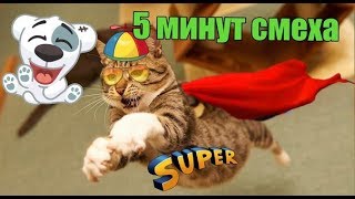 5 МИНУТ СМЕХА/ДО СЛЁЗ СМЕШНЫЕ ПРИКОЛЫ 2018/ДО СЛЁЗ СМЕШНЫЕ ПРИКОЛЫ ПРО ЖИВОТНЫХ 2018/5 МИНУТ СМЕХА