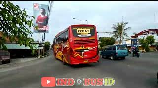 Lampu merah karang Wuni Jalur Yogya-Solo banyak bus dengan Livery SINGGELGLAS #fyp #yogyakarta