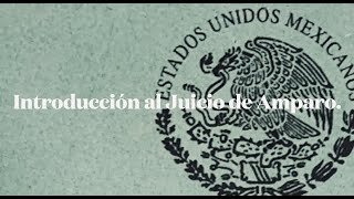 ¿Qué es  y para qué sirve el juicio de amparo?