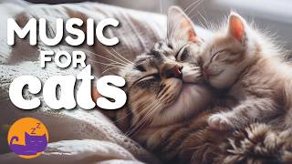 Cat Music - Healing Instrumentals for Separation Anxiety