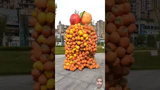 Fruit Pair #nature #autumn #fruit #orange #funny #shorts #viralvideo