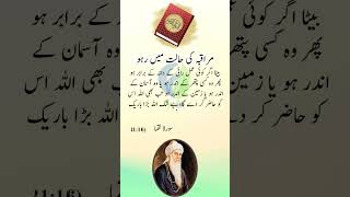 Hazrat Luqman ki Nasihat #islam #islamic #quran #deen