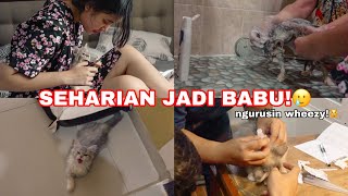 SEHARIAN NGURUSIN ANAK ASUH... | Aurelliaurel