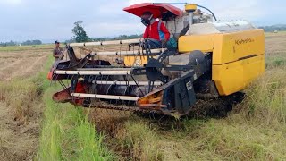 Mesin Panen Padi COMBI Padi Kubota 688#338