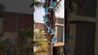 🤩Beautiful Wind chimes #youtube #shorts #gardening #plants