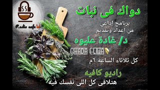 دواك فى نبات | الحلقة ٣ فوائد وأضرار النعناع Mint benefits