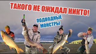 ЩУКА 10КГ! ТРОФЕЙНАЯ РЫБАЛКА на озере ВСЕЛУГ