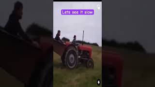 Massey ferguson 35 goes wild !